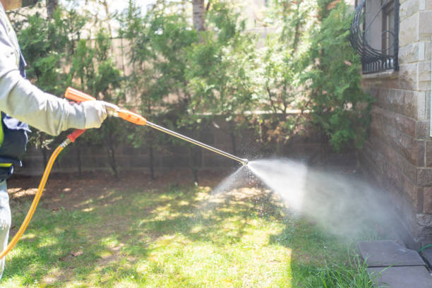 Professional Pest Control in Grandyle Village, NY